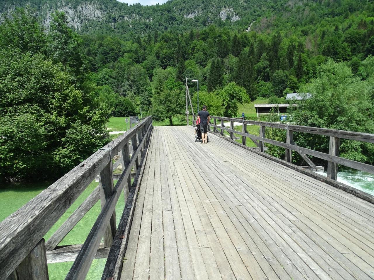 Apartma Kosnik Bohinj Dış mekan fotoğraf