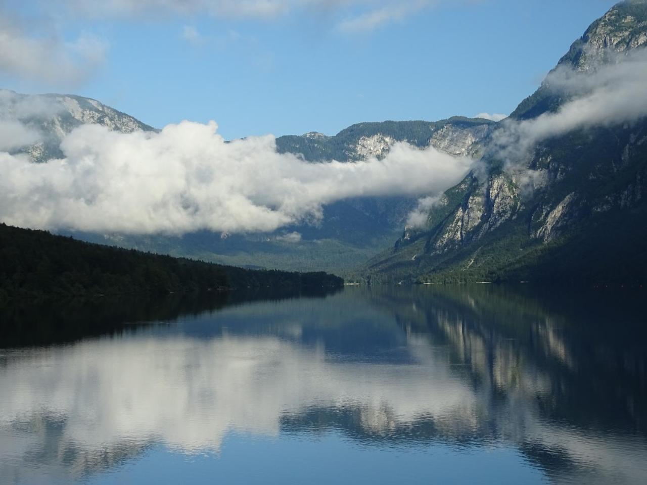 Apartma Kosnik Bohinj Dış mekan fotoğraf