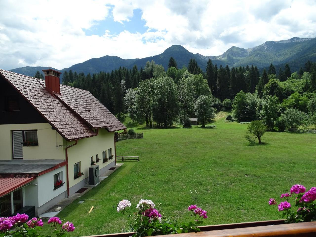 Apartma Kosnik Bohinj Dış mekan fotoğraf