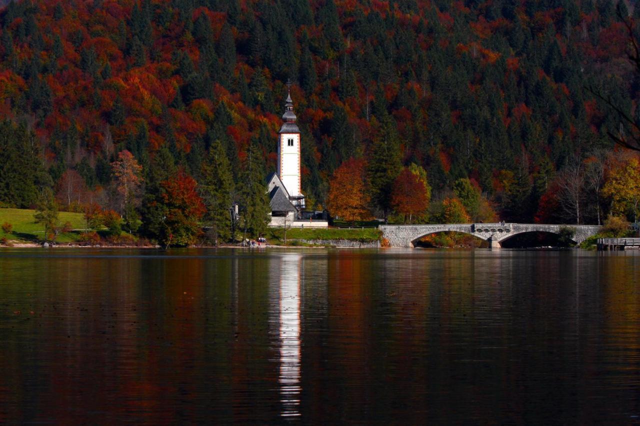Apartma Kosnik Bohinj Dış mekan fotoğraf